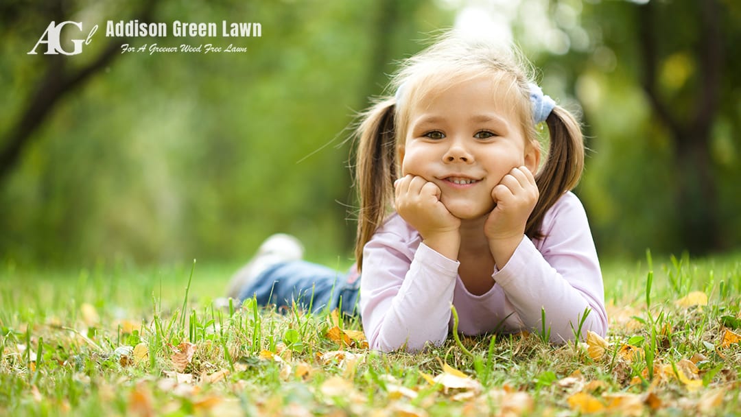 Addison Green Lawn, photo 2
