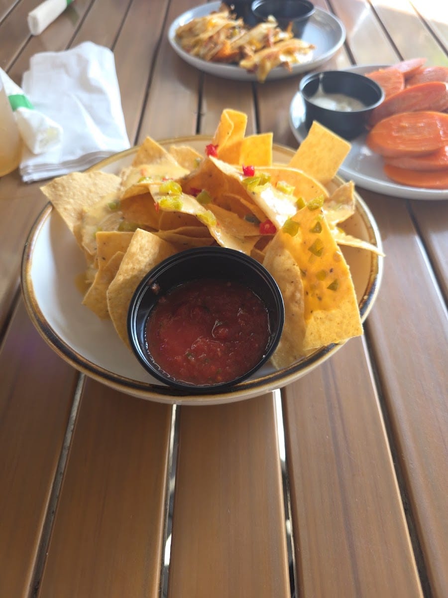 City Dog Cantina, photo 2