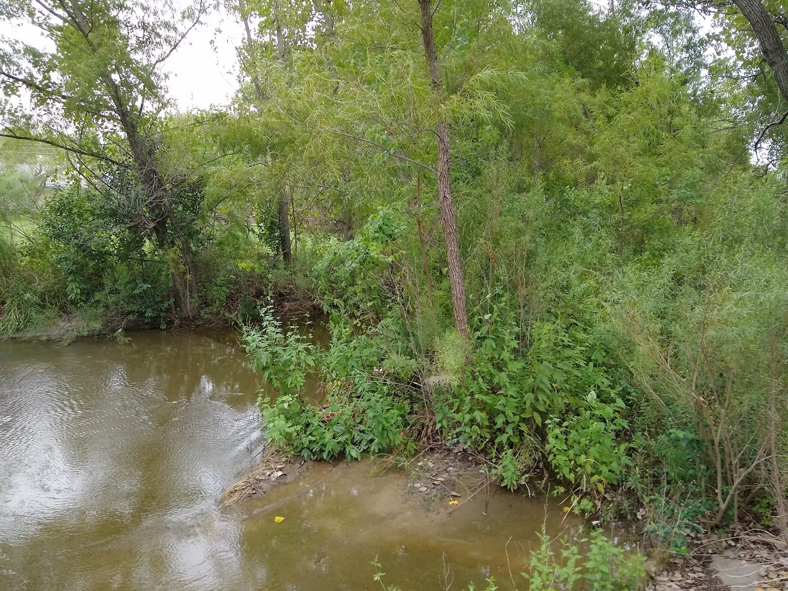 Kensington Greenbelt, photo 3