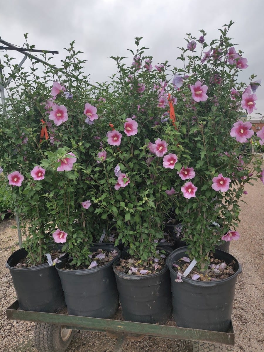 SiteOne Landscape Supply, photo 4