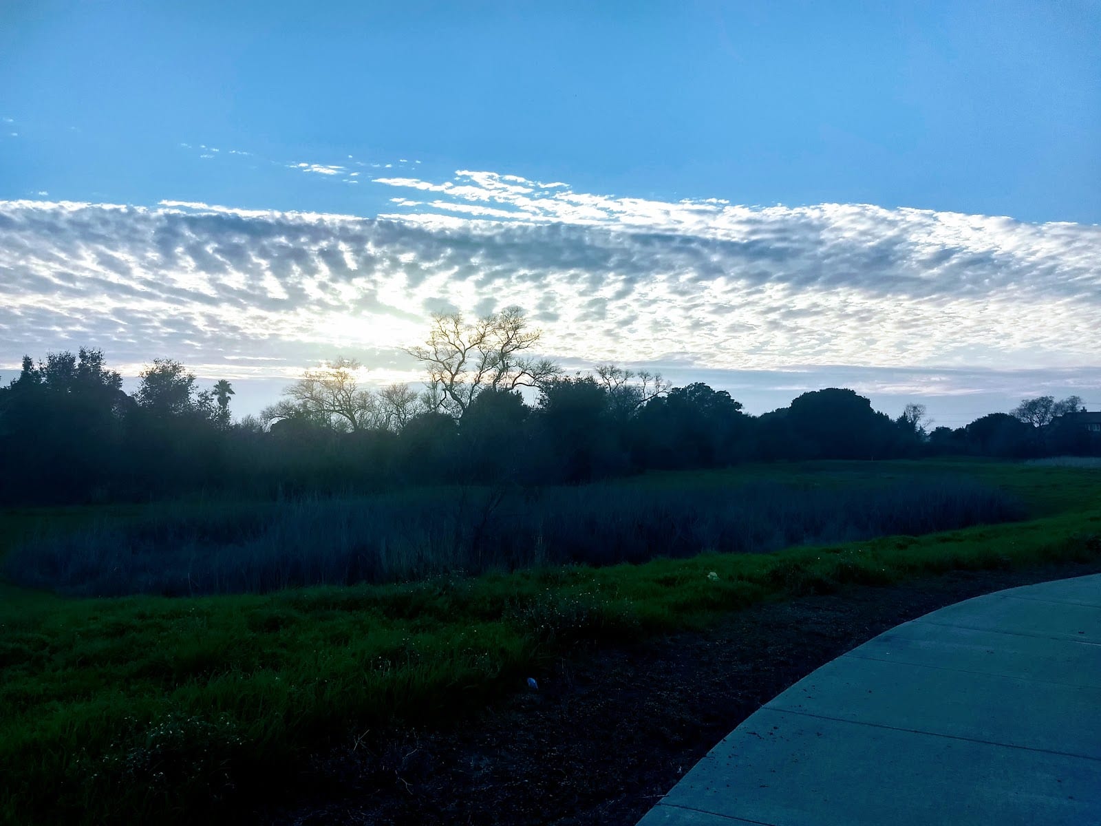 Silver Oak Park