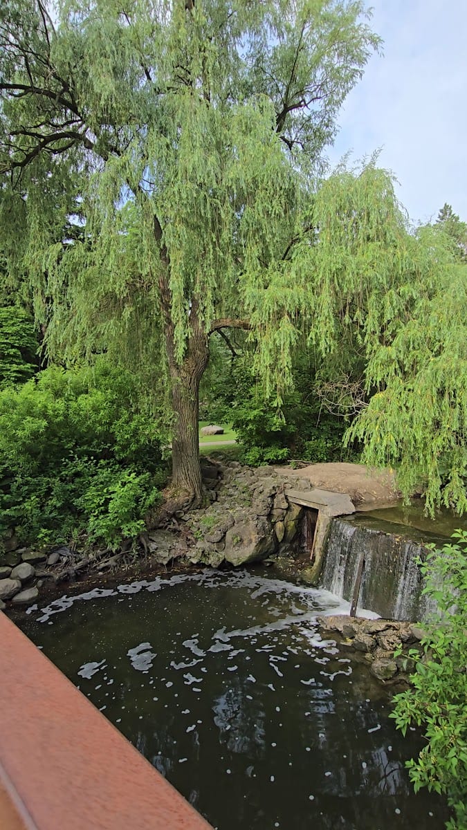 Wilket Creek Recreational Trail, photo 2