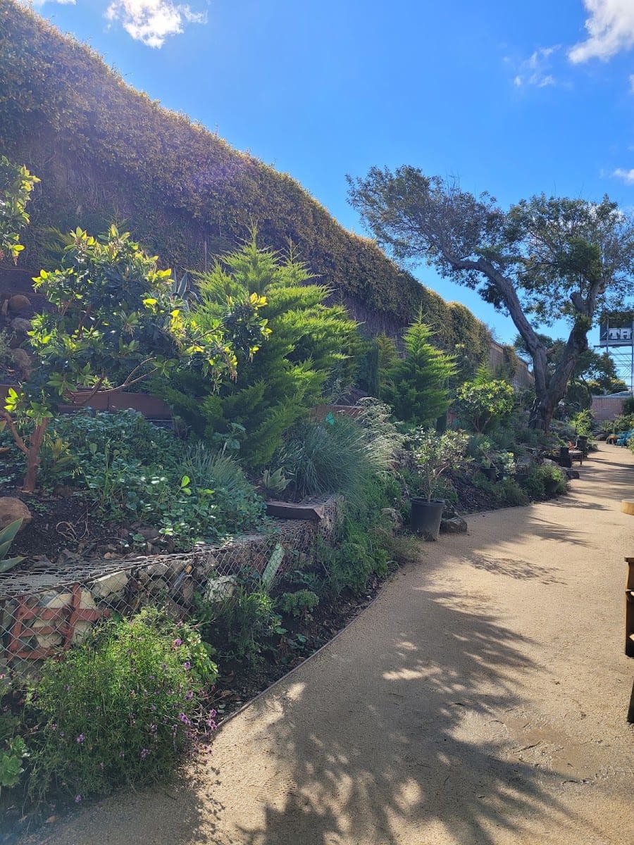Burrows Pocket Park