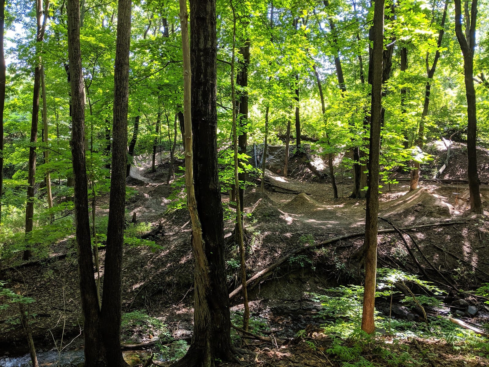 Tryon Park