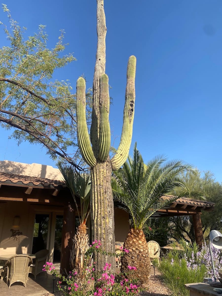 Parsons Villas | Scottsdale Vacation Rentals, photo 3