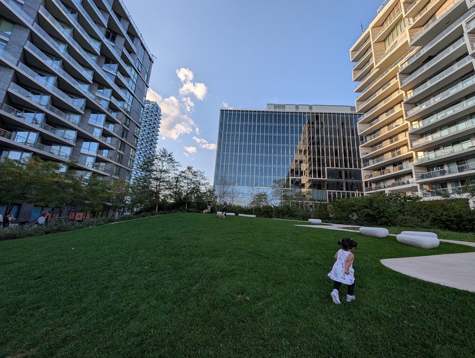 Dog Park, photo 3