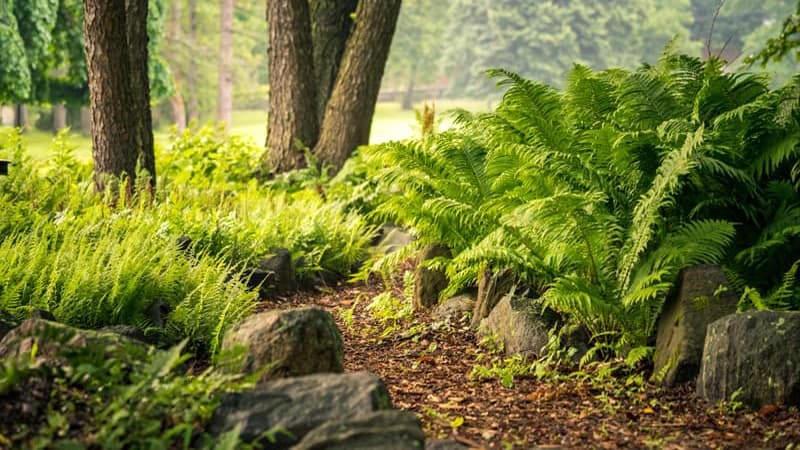Lyndhurst opens a deeper history tour for October 10–12