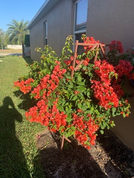 Punta Gorda Pest Control, photo 4