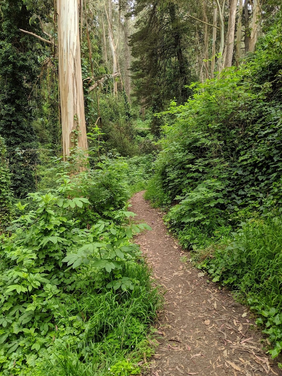 Interior Greenbelt