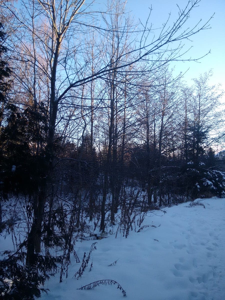 Humber Flats Ecopark