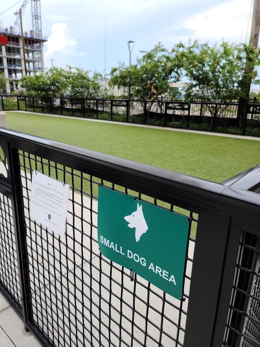 Dog Parks at Madison Street Park, photo 3