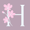 Hanami Teatime - Fluffy Pancakes