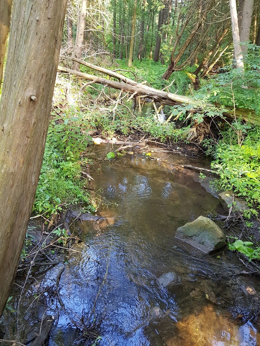 Karindon Park