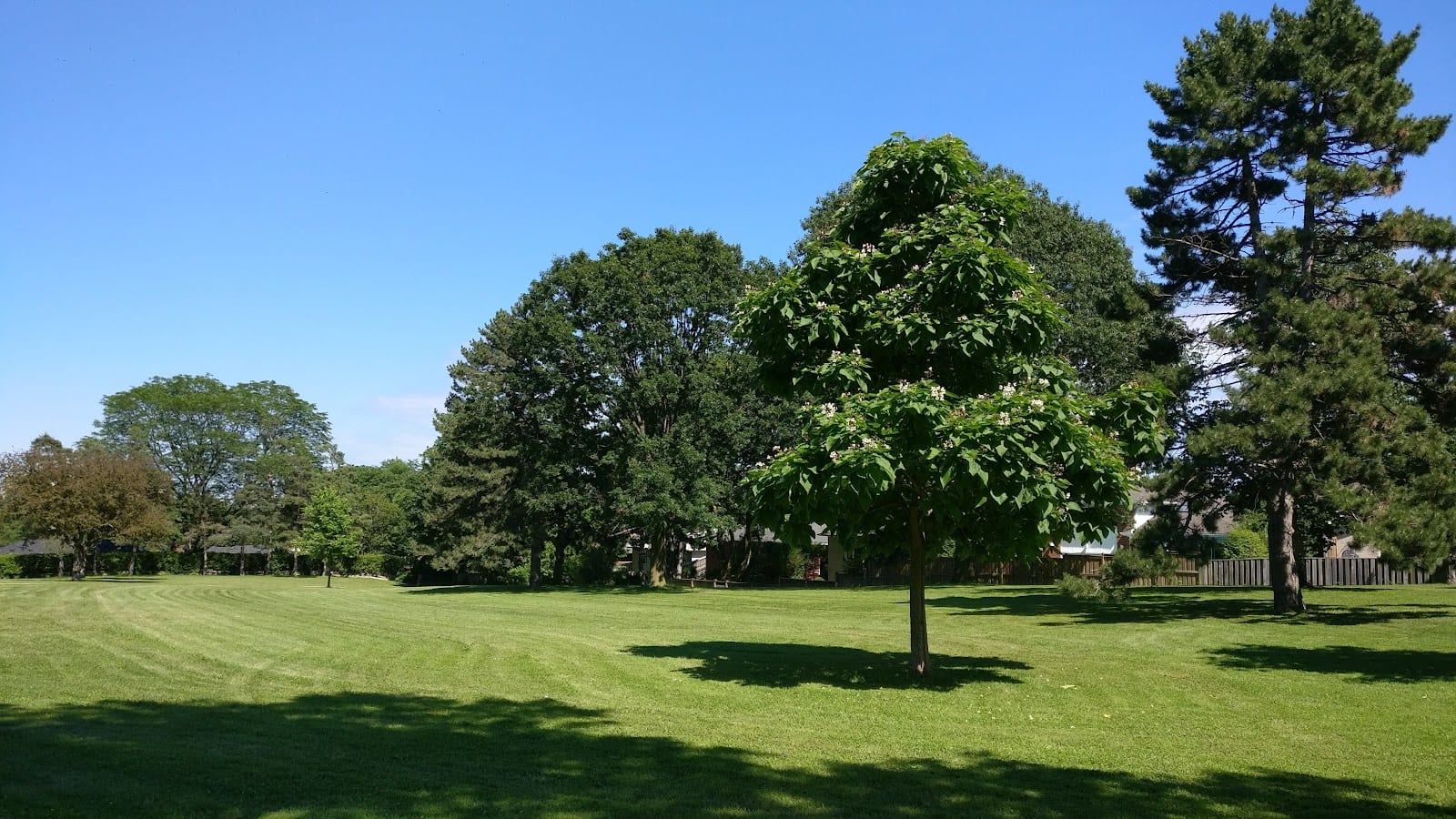 Dunlace Park, photo 3