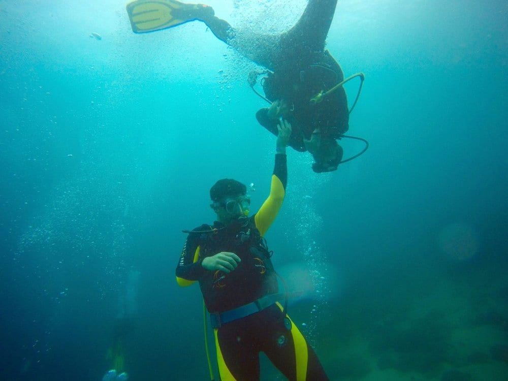 Bay Area School Of Diving, photo 2