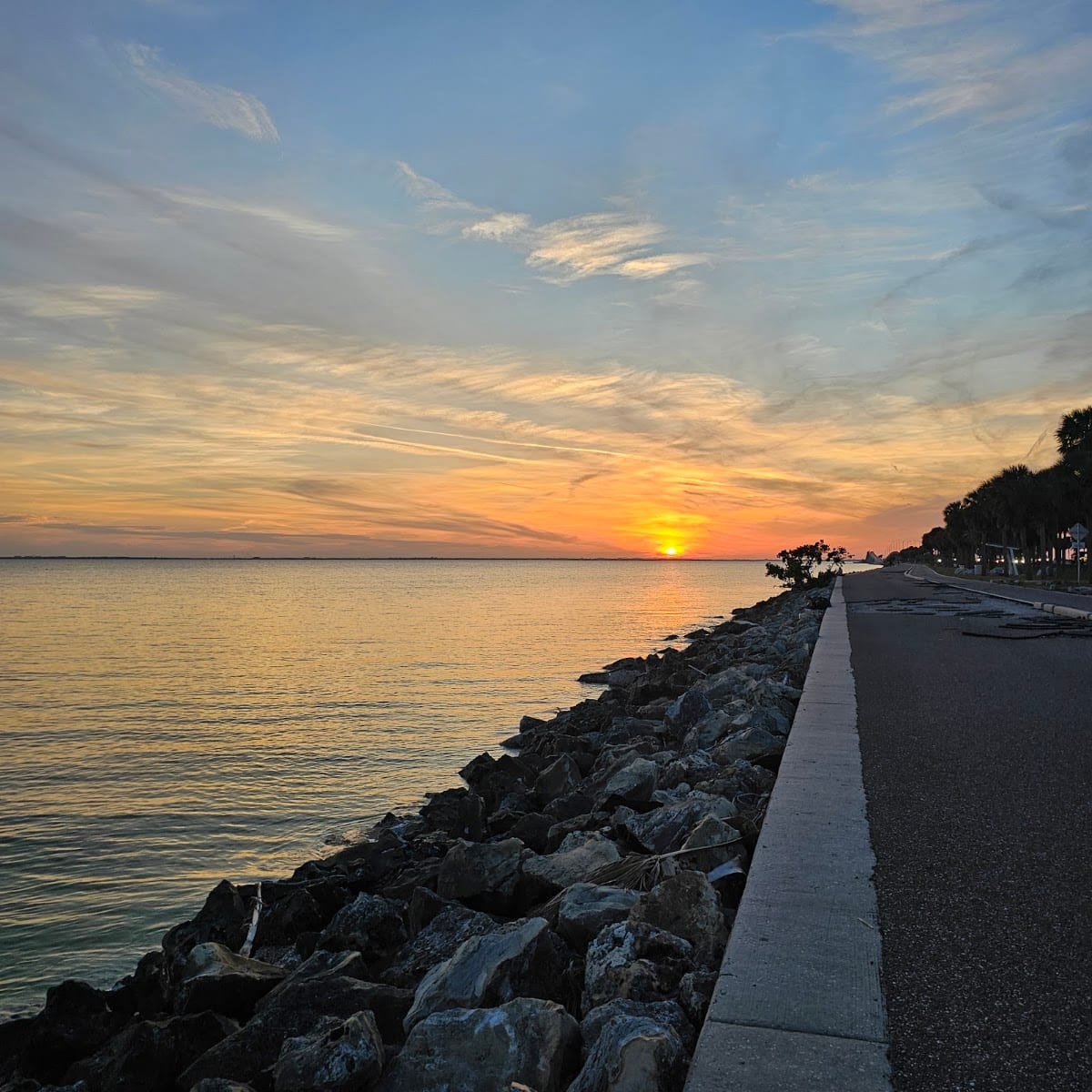 Courtney Campbell Causeway Trail, photo 3