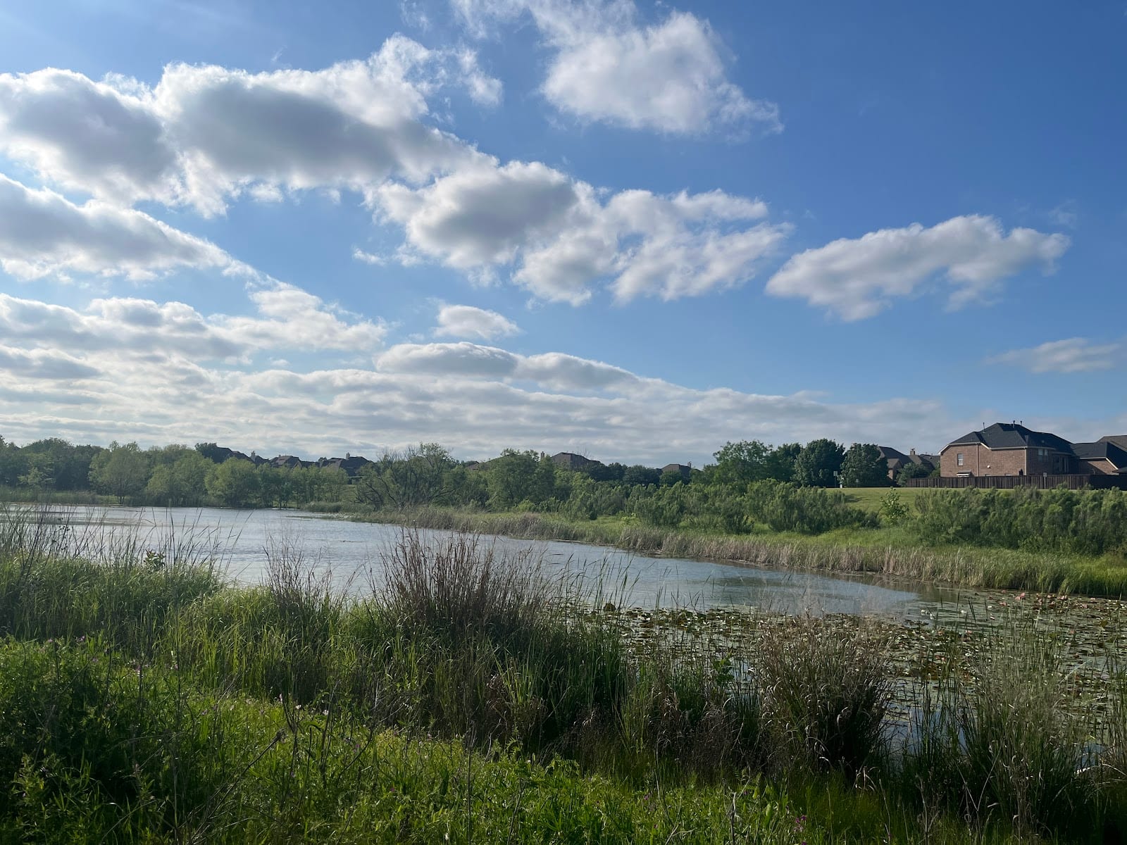 Ironhorse Trail