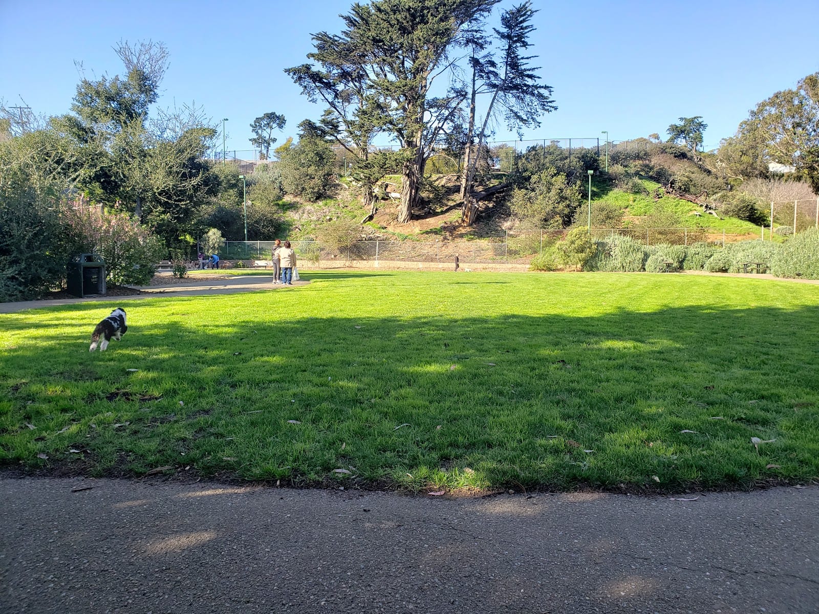 St. Mary's Dog Park