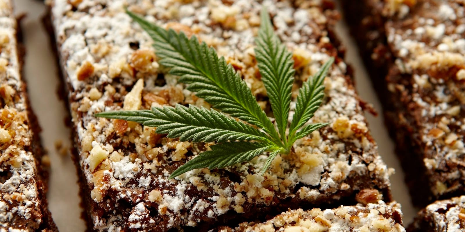 Mmj Doctor - Medical Marijuana Doctor, photo 4