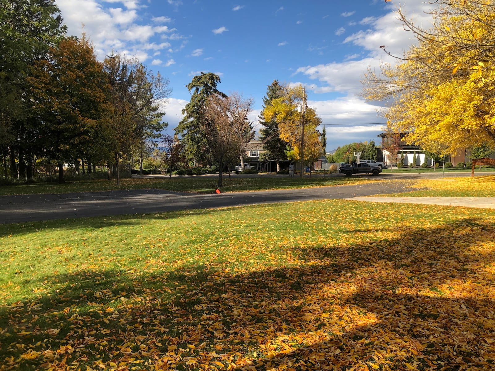 Braegger Park