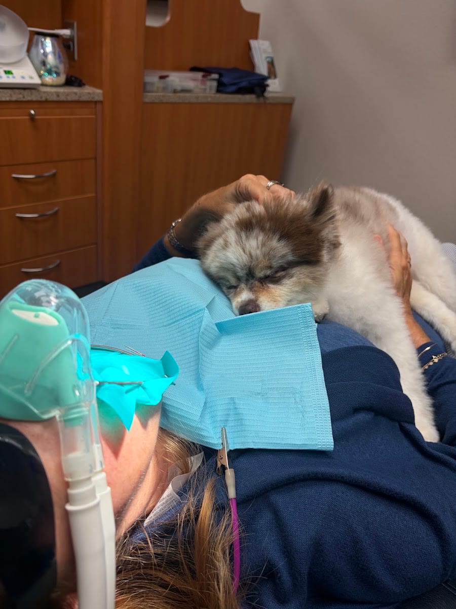 North Port Dental