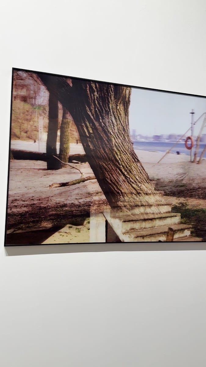 Gallery 44 Centre for Contemporary Photography, photo 3