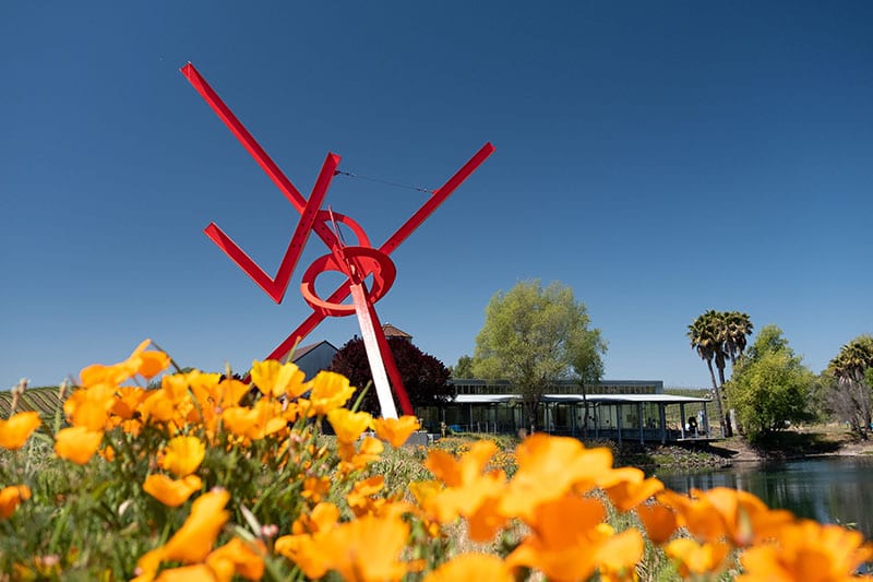 di Rosa Center for Contemporary Art, photo 2