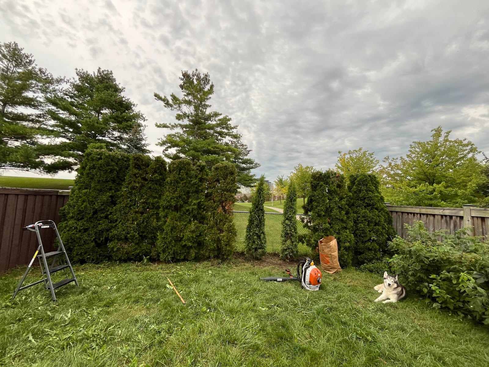Elias Outdoor Services
