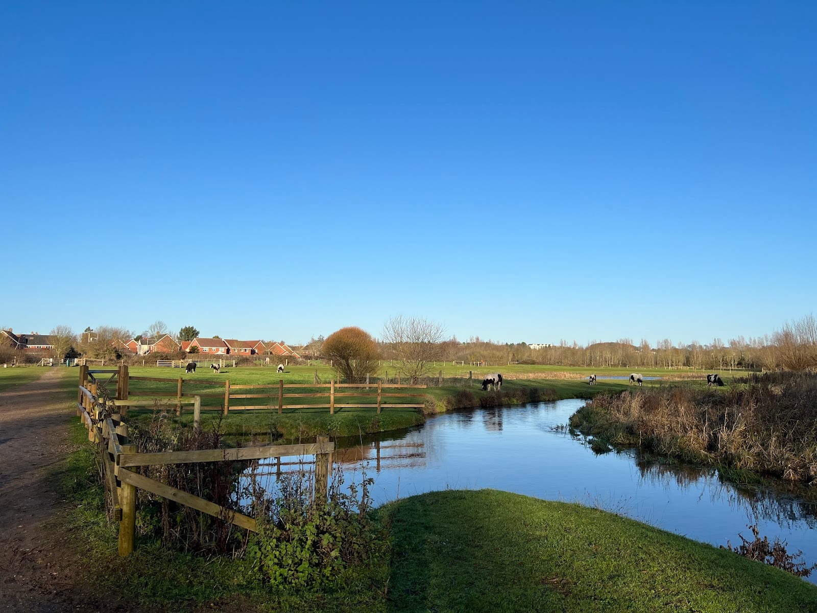 Bowthorpe Southern Park, photo 3