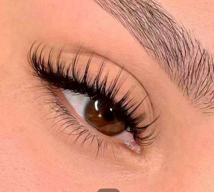 Lash S