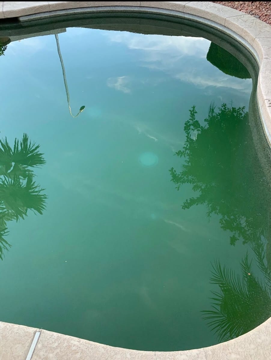 PoolMonkey, photo 4