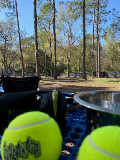 New Tampa Rotary Dog Park, photo 3