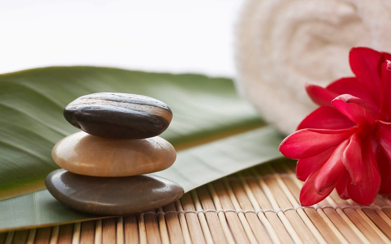 La Nee Thai Massage, photo 2