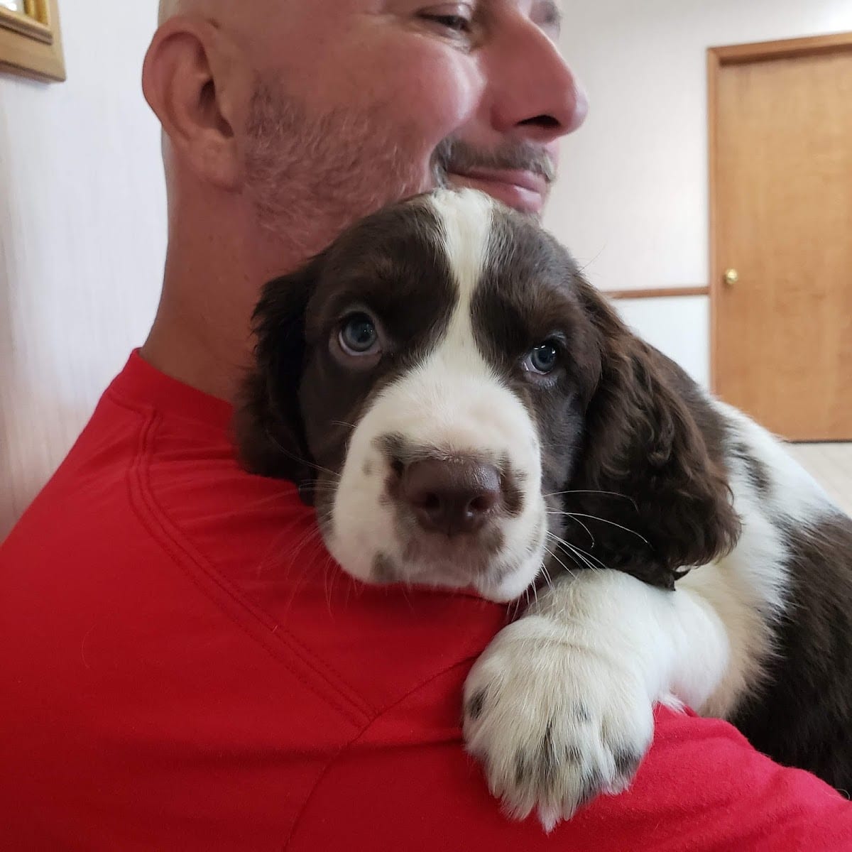 Stringer Animal Hospital North, photo 4