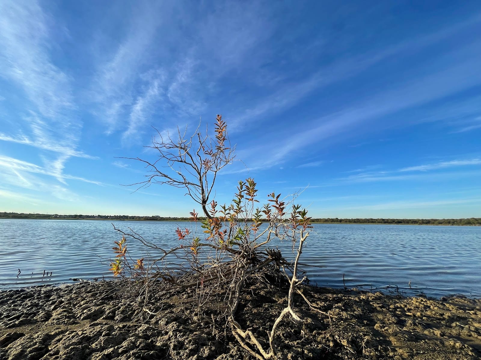 The Colony's Lakeshore Trail, photo 3