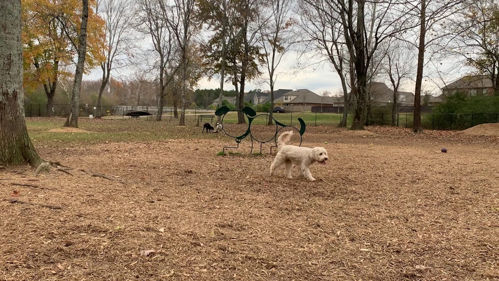 Mill Creek Dog Park, photo 2
