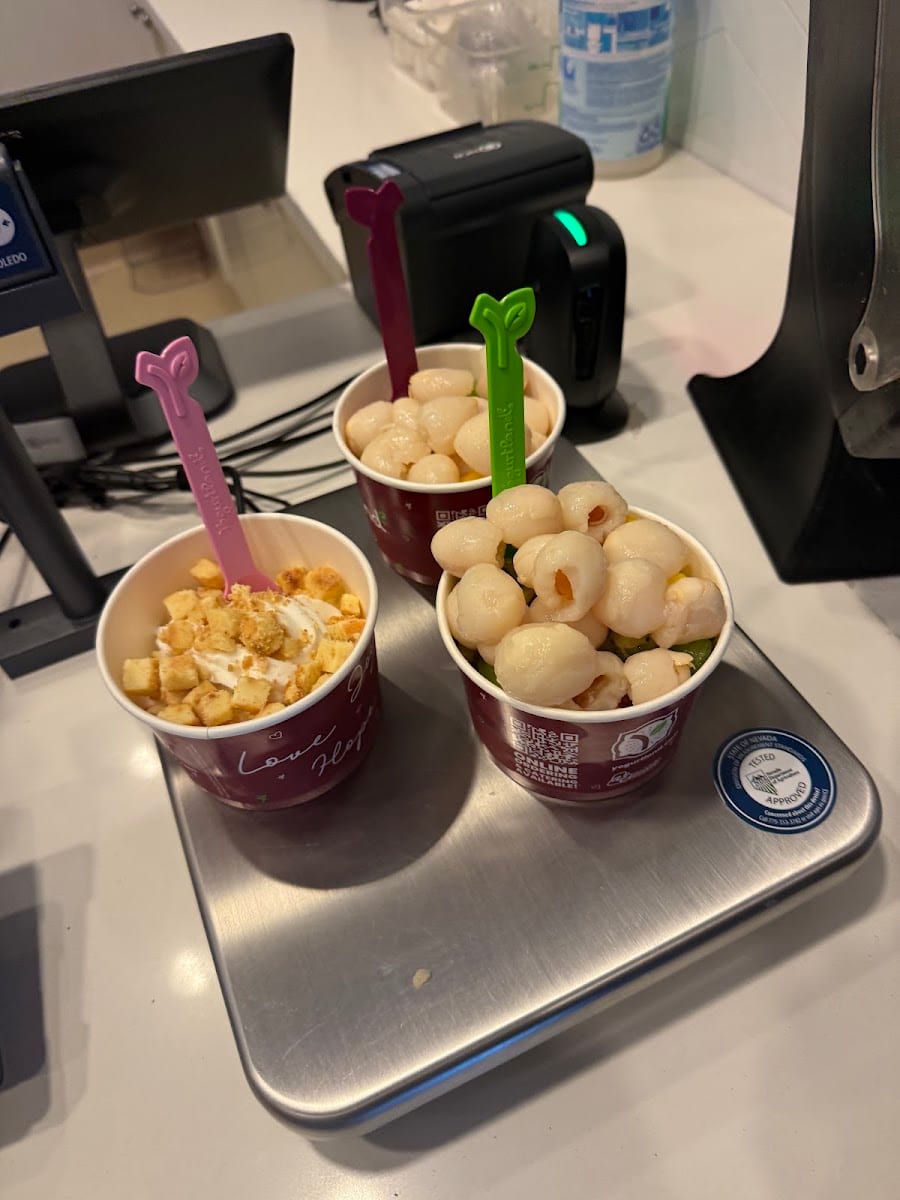 Yogurtland Boca Park, photo 4