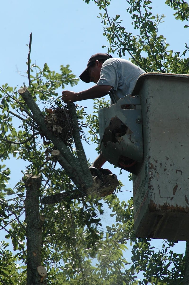 Lombardo's Bonded Tree Service, LLC