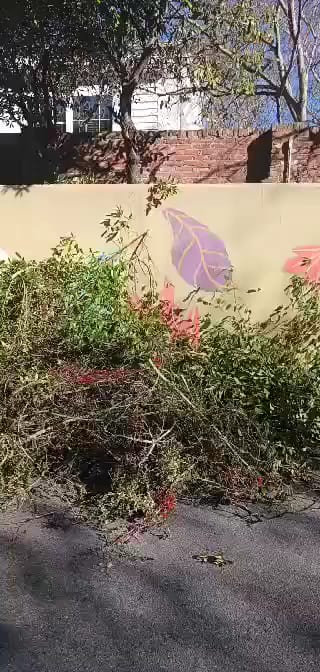 Care-Free Lawn Services