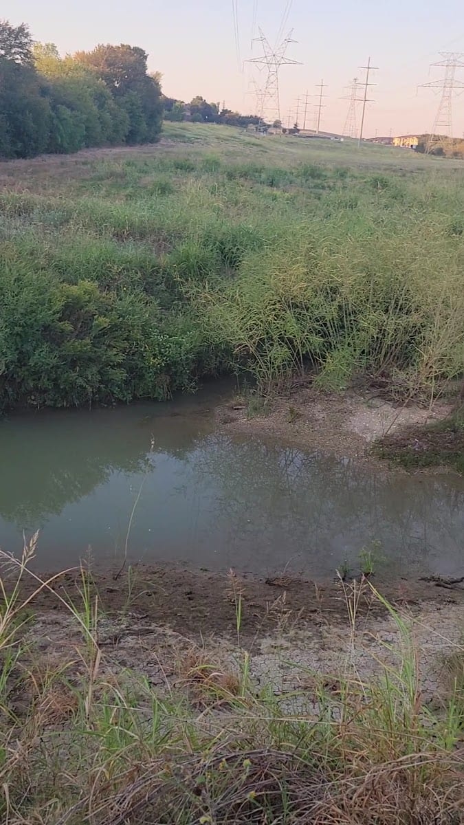 Castle Hills Disc Golf Course, photo 2