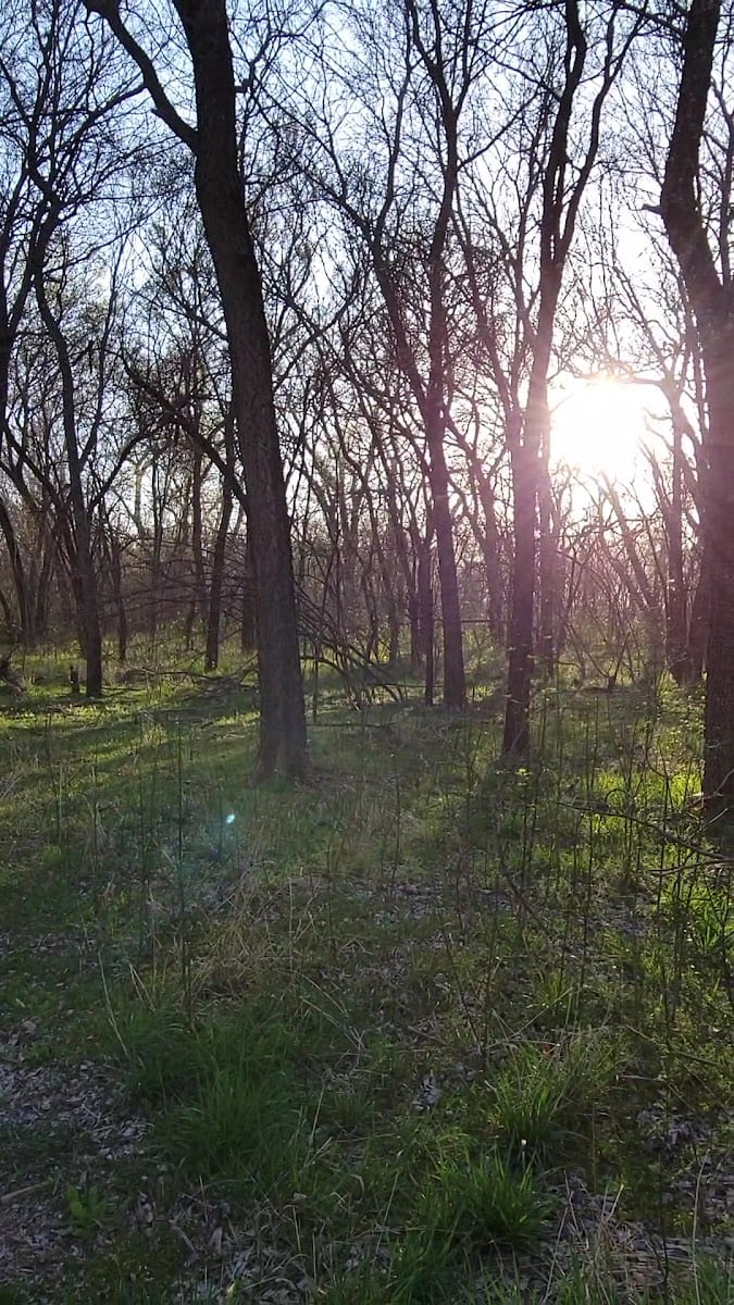 Greenbelt Corridor Park, photo 2