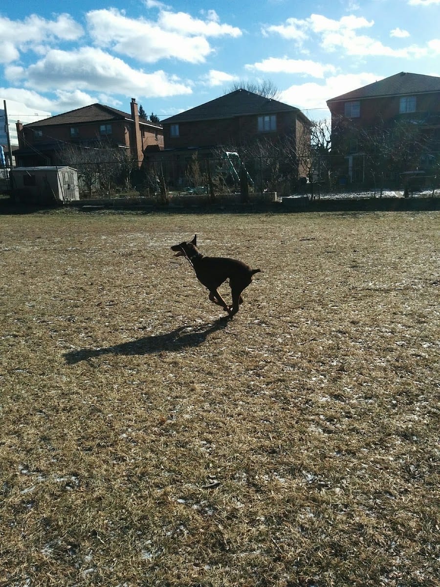 Conlands Parkette, photo 3