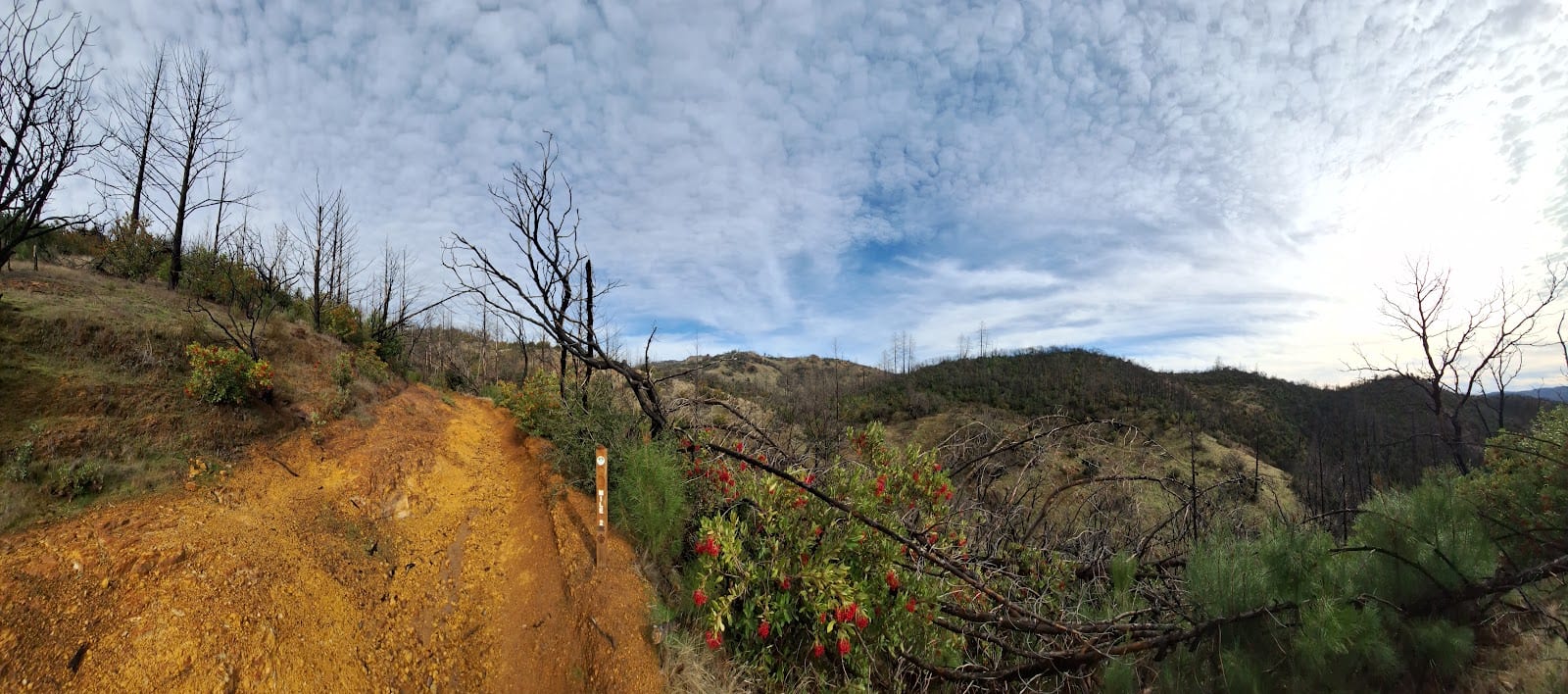 Oat Hill Mine Trail 2 mile marker