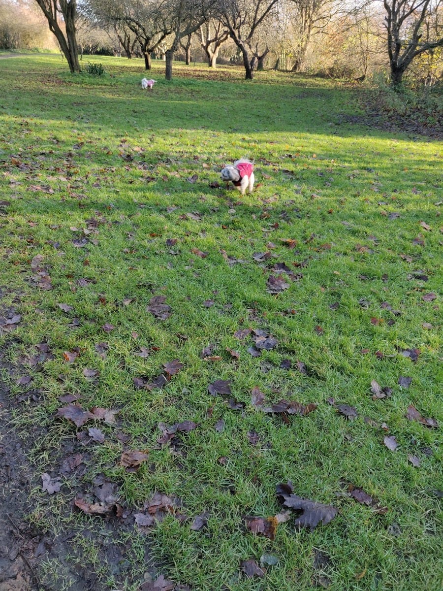 Monks Meadow