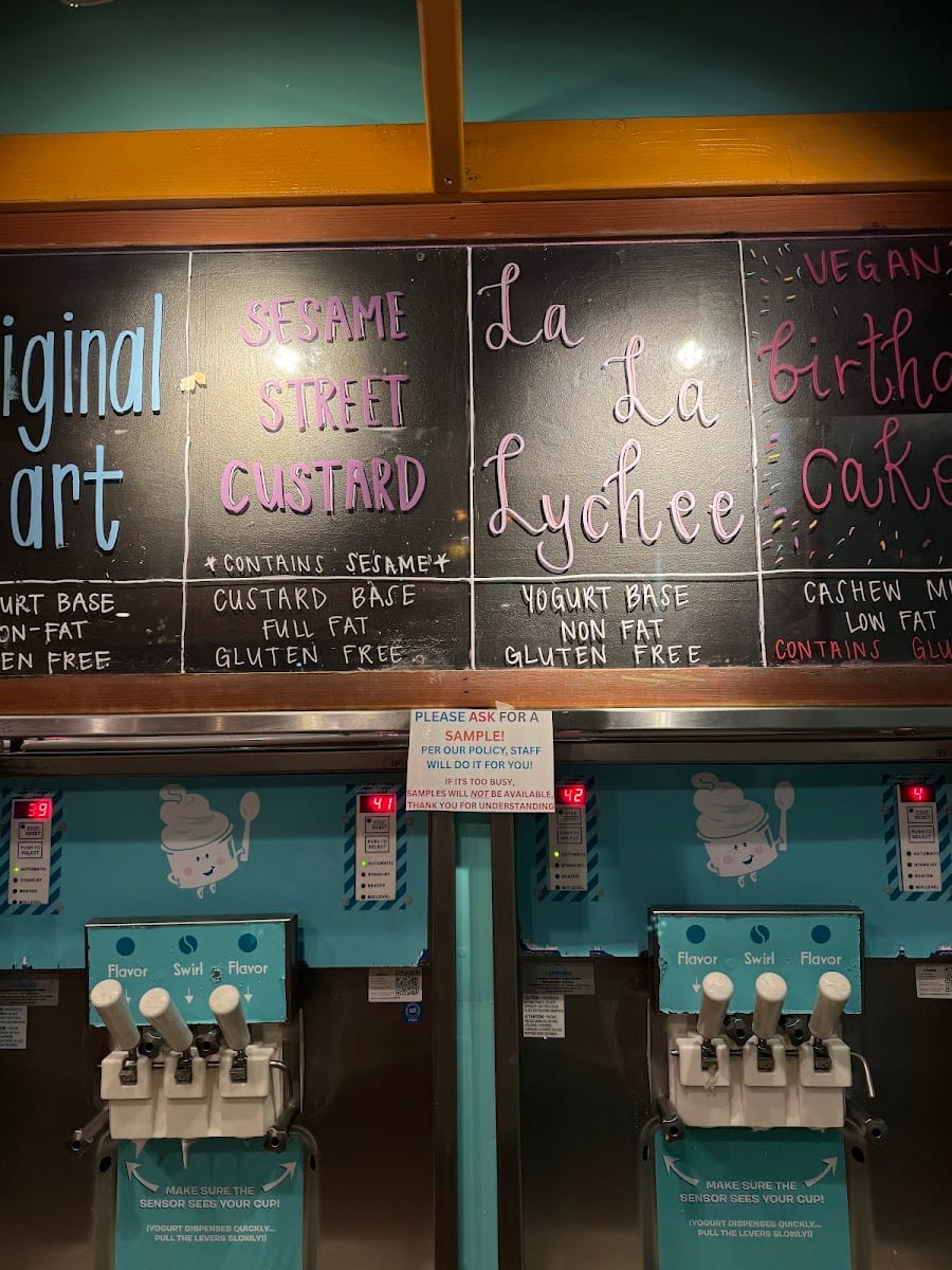 Easy Breezy Frozen Yogurt, photo 4
