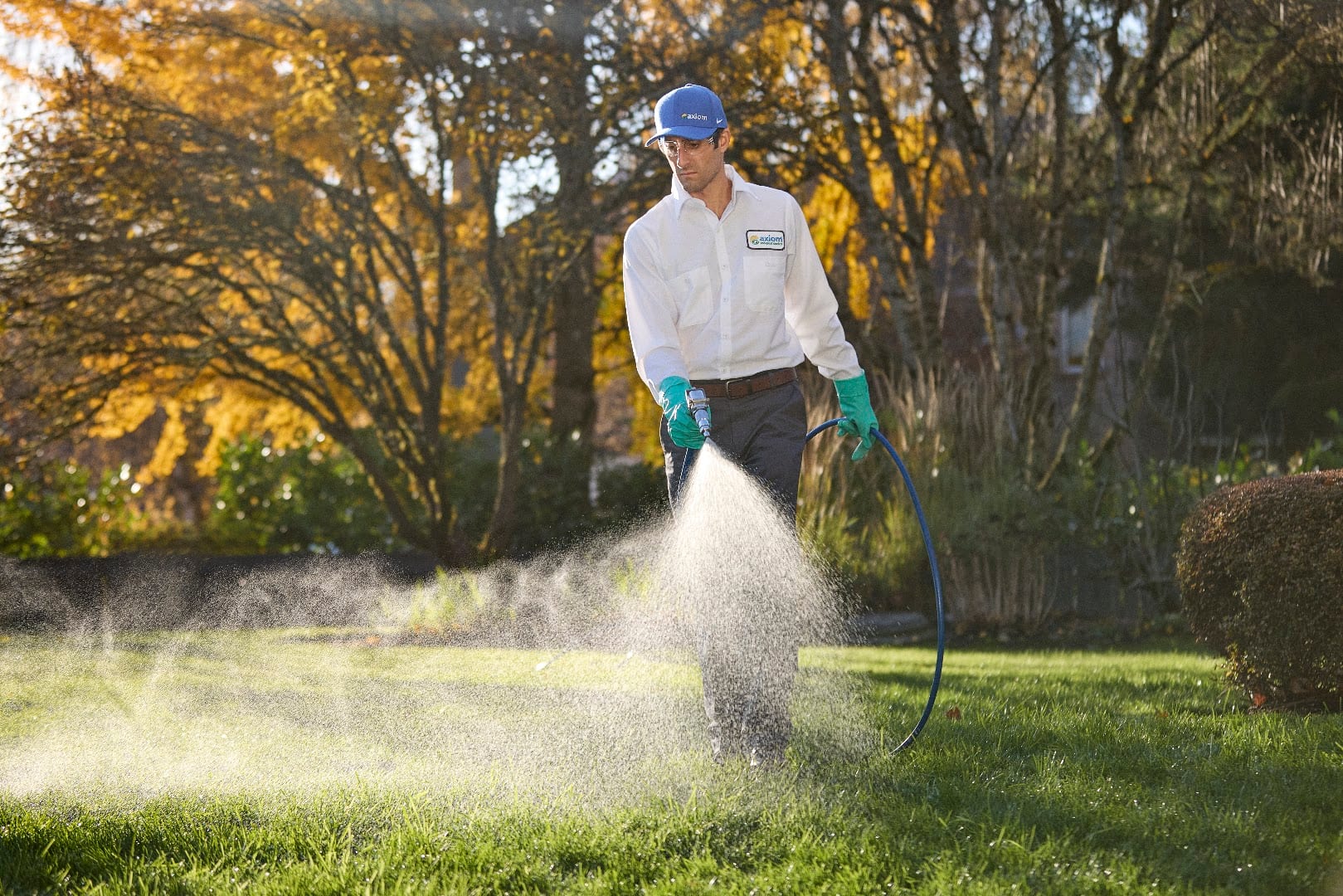 Axiom Eco-Pest Control, photo 4