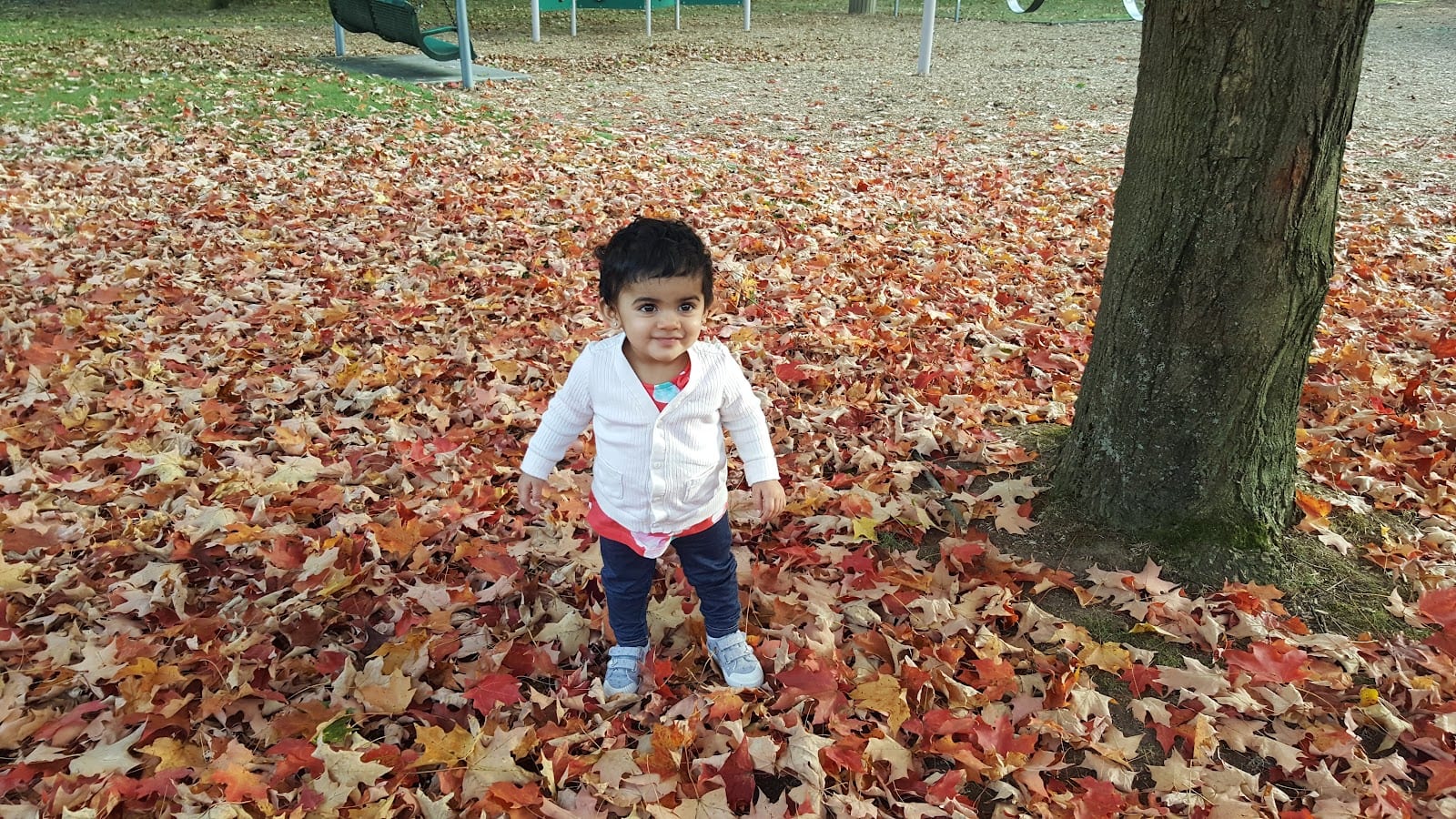 Madison Park, photo 3
