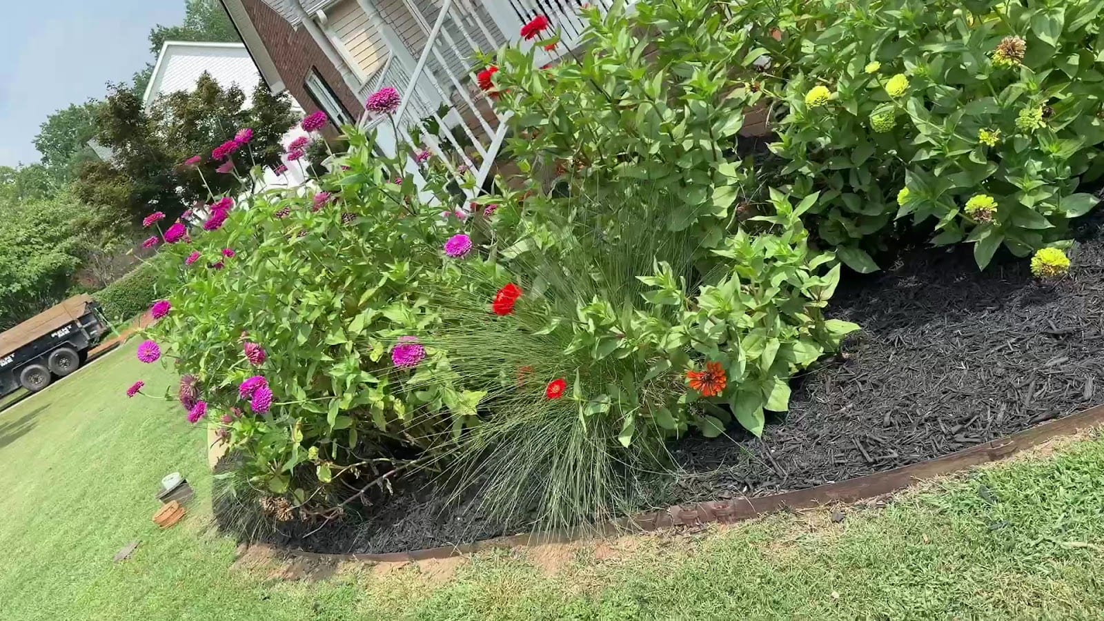 Jimenez Landscaping & Lawn Maintenance, photo 3