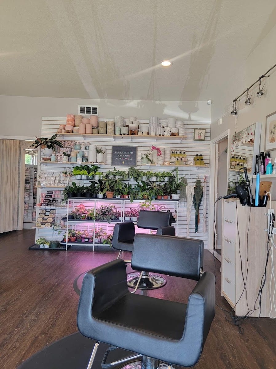 Becks Beauty Co., photo 3