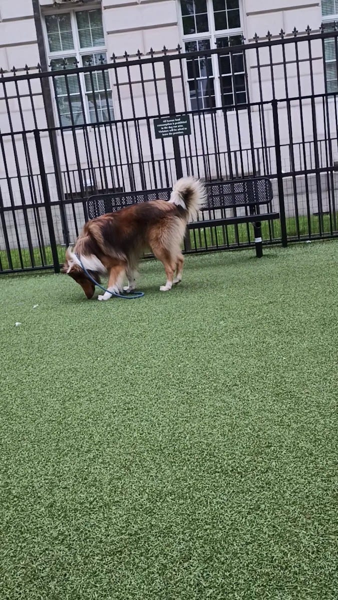 U.N. Plaza Dog Park, photo 2